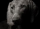 m_dsc-7273-resize.jpg
