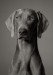 kopie---dsc-7317-resize.jpg
