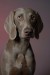dsc-7306-resize.jpg
